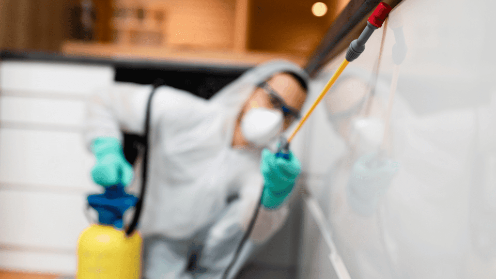 افضل شركة رش حشرات بالدمام