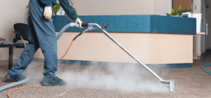 شركة مكافحة حشرات بالظهران